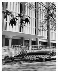 UC Santa Barbara Library: Past | UCSB Library